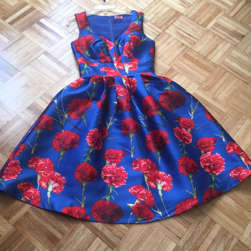 Gorgeous Carnation Dress